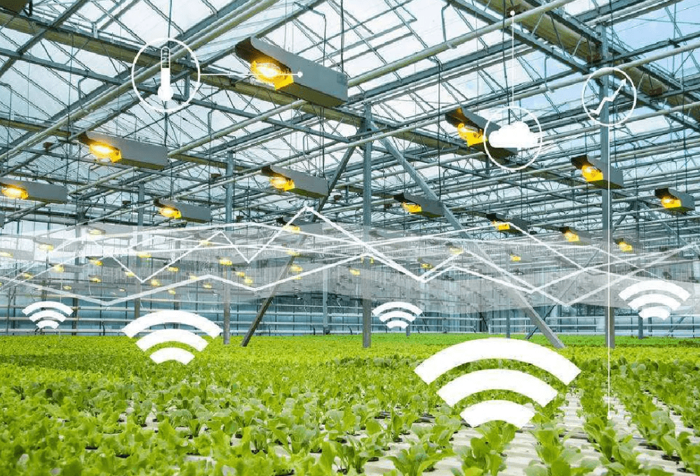 物聯(lián)網(wǎng)時(shí)代下，物聯(lián)卡在智慧農(nóng)業(yè)中的應(yīng)用場(chǎng)景與特性解析